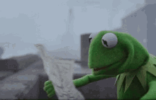 Kermit looking at map